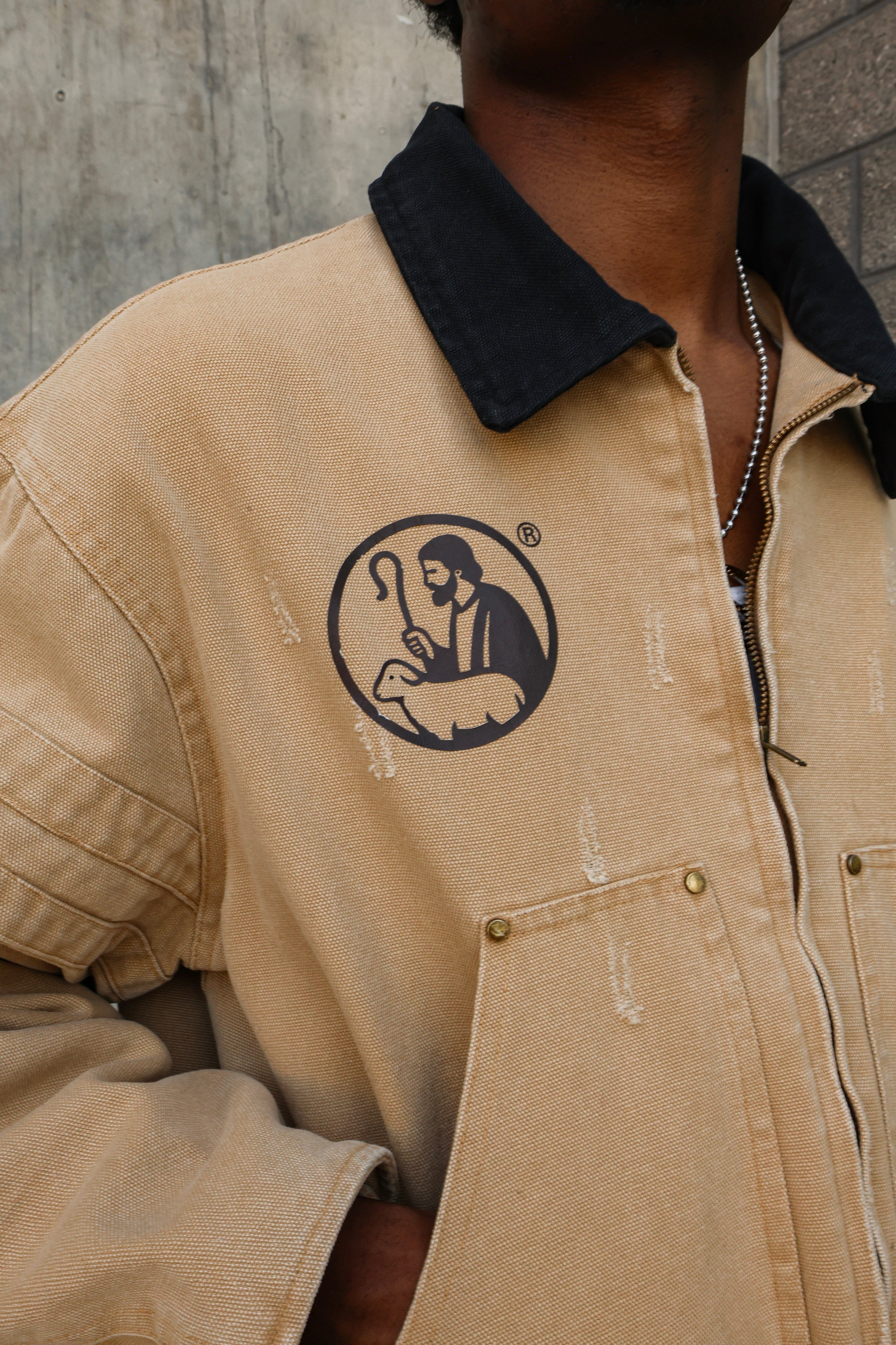 Jesus The Good Shepherd